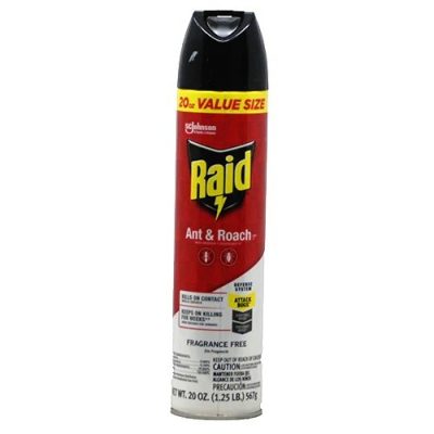 Raid Defend Indoor Ant & Roach Killer Bug Spray Value Size 20 Oz