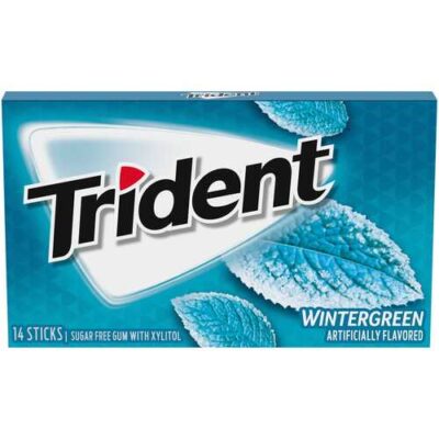 Trident Sugar Free Wintergreen Gum