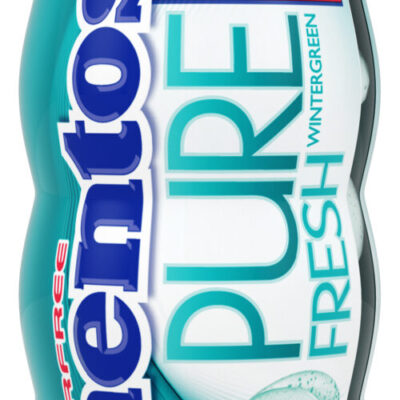 Mentos Pure Fresh Gum, Wintergreen, With Green Tea Extract